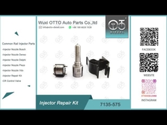 28231462 VW 1.2L नोजल L363PRD के लिए 7135-575 डेल्फ़ी इंजेक्टर मरम्मत किट