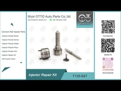 नोजल L120PBD के साथ 28232248 के लिए 7135-647 डेल्फ़ी इंजेक्टर मरम्मत किट