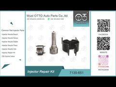 नोजल L121PBD के साथ R02201Z के लिए 7135-651 डेल्फ़ी इंजेक्टर मरम्मत किट