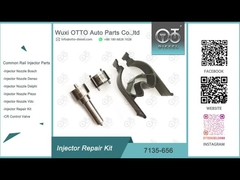नोजल L135PBD के साथ R00504Z के लिए 7135-656 डेल्फ़ी इंजेक्टर मरम्मत किट