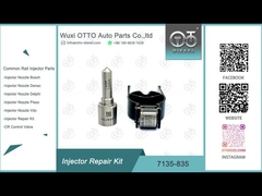 7135-835 डेल्फी इंजेक्टर मरम्मत किट