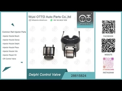28615824 डेल्फी कॉमन रेल इंजेक्टरों के लिए कॉमन रेल कंट्रोल वाल्व R00001D/28307309