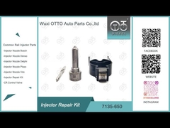 नोजल-वॉल्व किट 7135 - 650 DELPHI इंजेक्टर की मरम्मत किट DELPHI इंजेक्टर के लिए R04701D