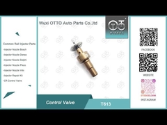 T613 बॉश कॉमन रेल कंट्रोल वाल्व लागू 0445110551