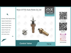 T614 बॉश कॉमन रेल कंट्रोल वाल्व इंजेक्टर के लिए 0445110522