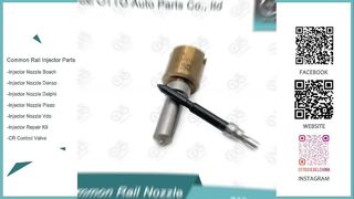 टोयोटा 2.0D इंजन के लिए डेंसो G3P016 कॉमन रेल नोजल