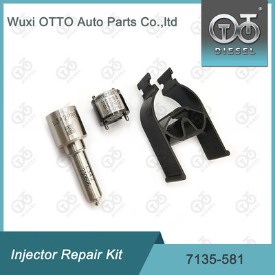 R00101D PSA FORD DW10C के लिए डेल्फी 7135-581 इंजेक्टर मरम्मत किट