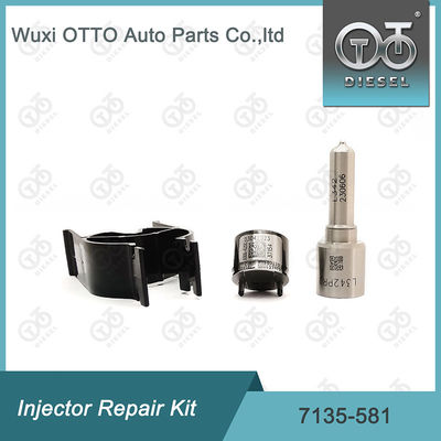 R00101D PSA FORD DW10C के लिए डेल्फी 7135-581 इंजेक्टर मरम्मत किट