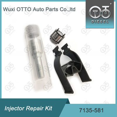 R00101D PSA FORD DW10C के लिए डेल्फी 7135-581 इंजेक्टर मरम्मत किट