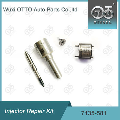 R00101D PSA FORD DW10C के लिए डेल्फी 7135-581 इंजेक्टर मरम्मत किट