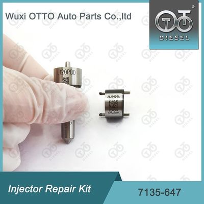 Delphi इंजेक्टर मरम्मत किट 7135-647 के लिए 28232248 के लिए L120PBD नोजल के साथ