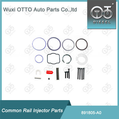 891805-A0 Fuel Injector Repair Kits 891804-M11 for Delphi A0 Series Injector
